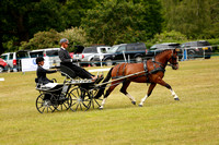 CLUB NOVICE - FEI Under 25