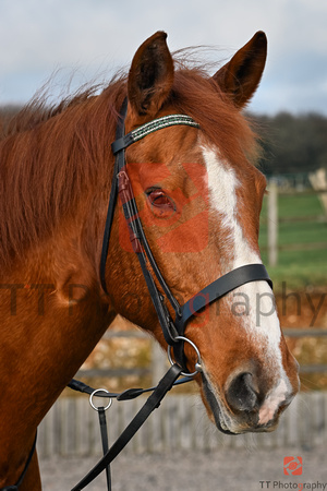 TT4_7954-Edited-SR