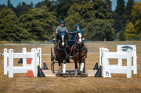 Sandringham Horse Driving Trials 2023