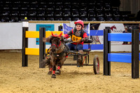 Indoor Carriage Driving Championships