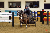 Novice Pony