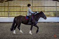 Dressage Day Camp 7th April