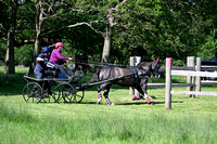 TT4_6293