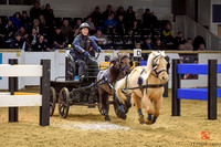 Pony Tandem