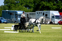 TT2_3409