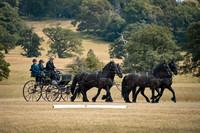 Dressage