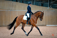 East Soley EC Unaffiliated Dressage - 28th August 2021