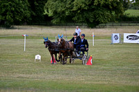 TT4_4390