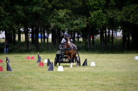 TT4_9485