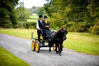 SOUTHERN CARRIAGE DRIVING CLUB OPEN SHOW - 5th September 2020