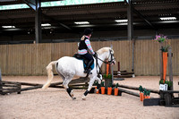 Clear Round Working Hunter - 0.45m to 0.55m