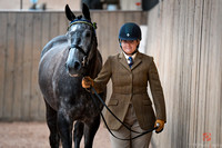 Class 10 - The RoR Tattersalls Open In Hand Show Series Qualifier