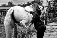 Equine Sports Massage Therapy - 22/07/23