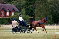 CLUB SINGLE PONY - FEI 2-HP1